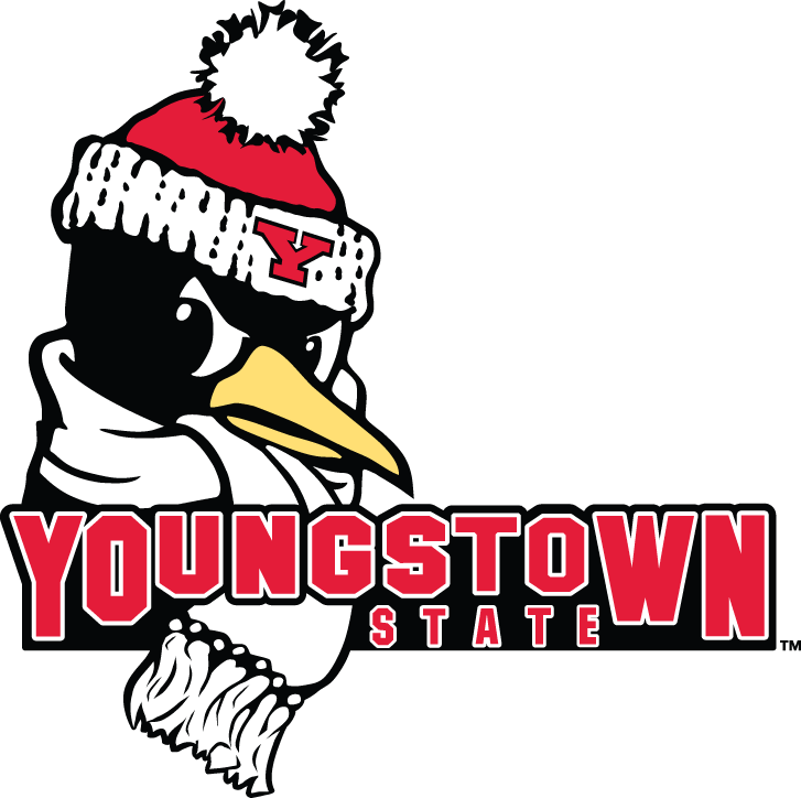 Youngstown State Penguins 2006-Pres Secondary Logo iron on transfers for clothing